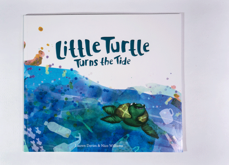Little Turtle Turns The Tide
